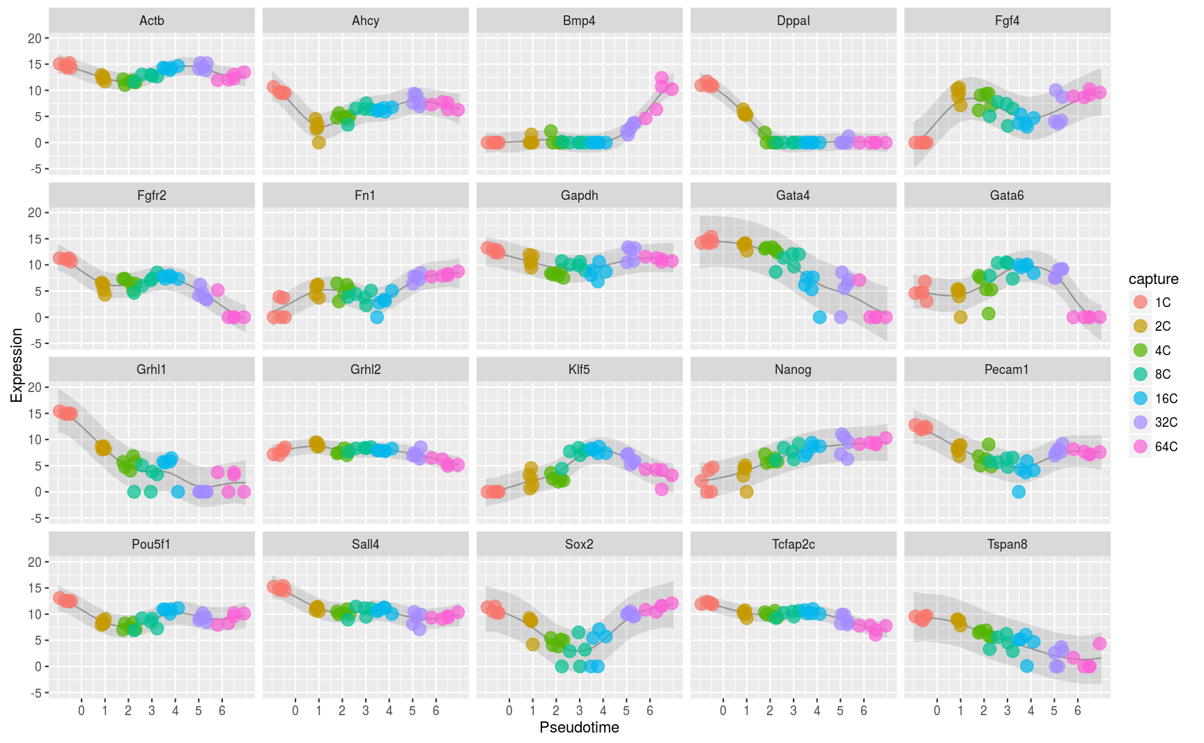 Gene expression profiles under pseudotime